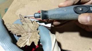 wood carving leaf dremel beginners maple patterns